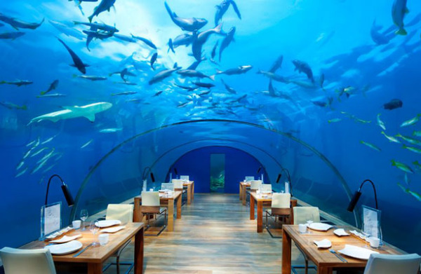Курорт Conrad Rangali Island Resort, Мальдивы