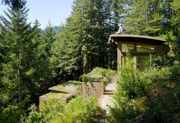 The Mill Valley cabins