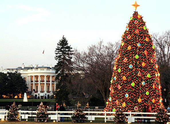 Национальная рождественская елка в Вашингтоне