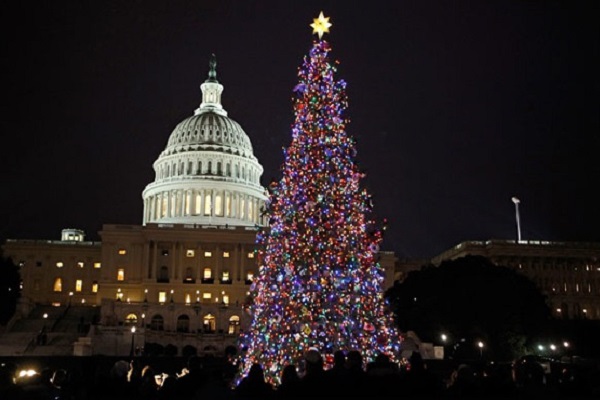 Рождественская елка возле Капитолия в Вашингтоне 
