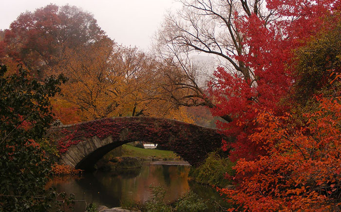 Мост в Центральном парке, Нью-Йорк, США