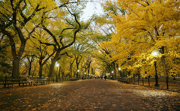 Центральный парк, Нью-Йорк, США