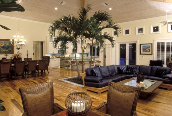 Интерьер комнаты с пальмой