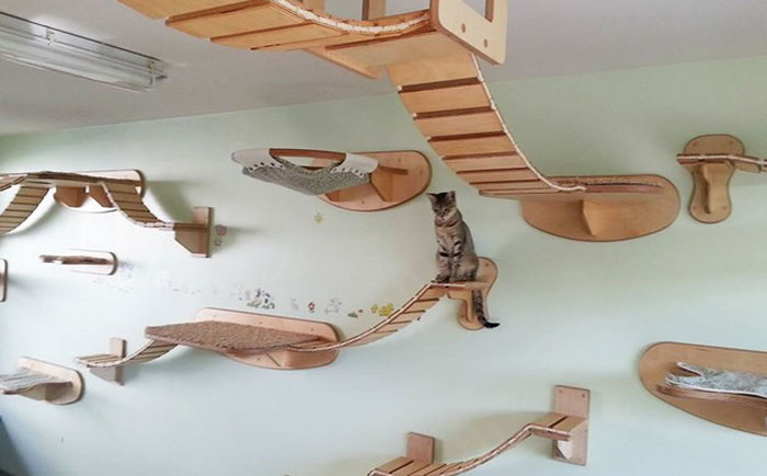 Подвесные дорожки для кота в стиле Индианы Джонс
