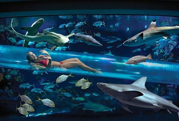 Опасный Лас Вегас: водные горки в аквариуме с акулами