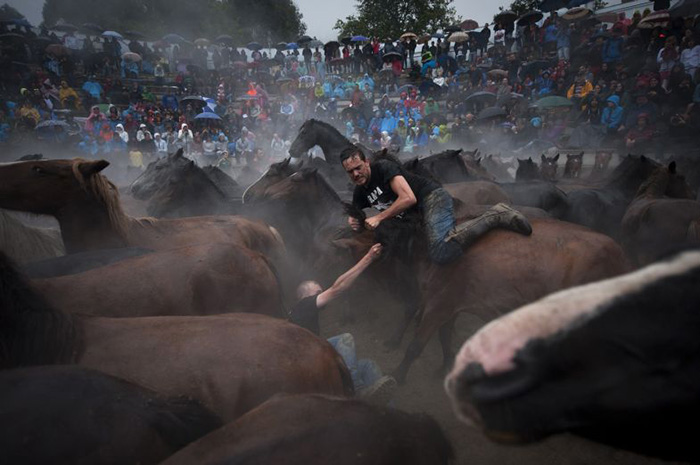 Укрощение лошадей – Сабуседо, Испания