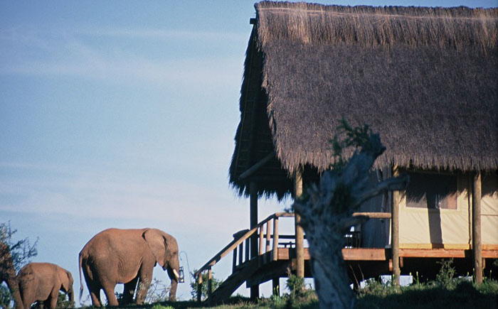 Кемпинг “Gorah Elephant” 
