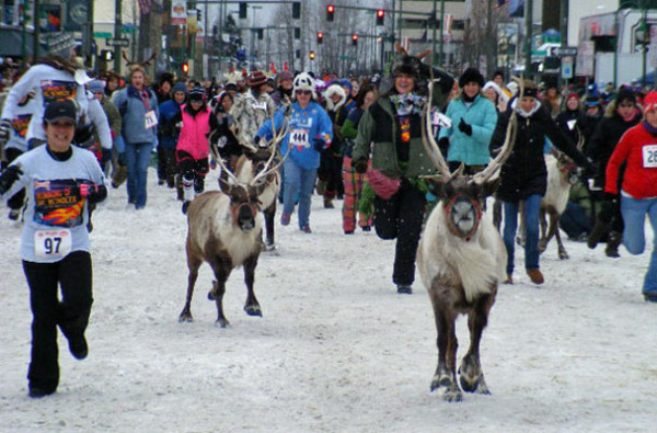 Зимний фестиваль Rondy (Аляска, США)