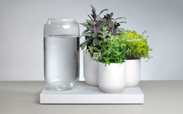 Tableau – подставка для автоматического полива комнатных растений 