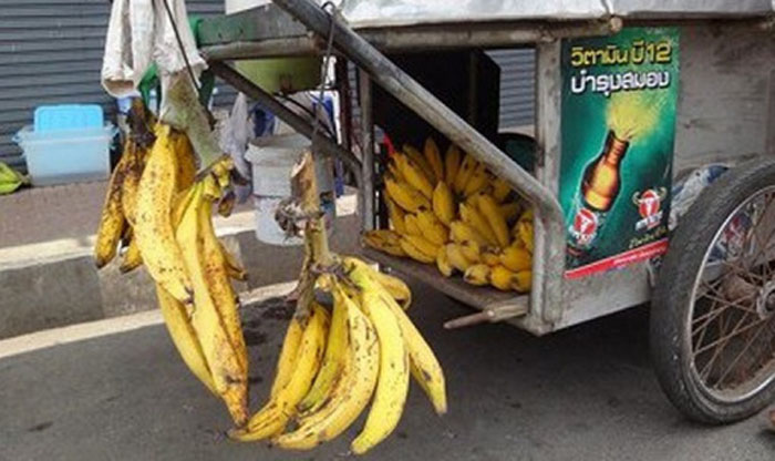 Unusual Bananas 3