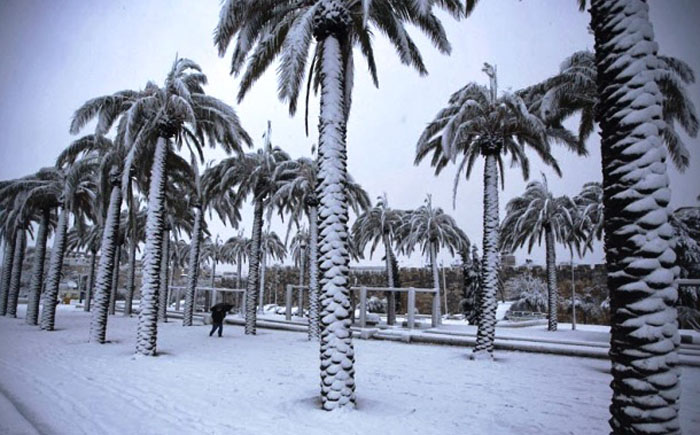 Снег в Каире