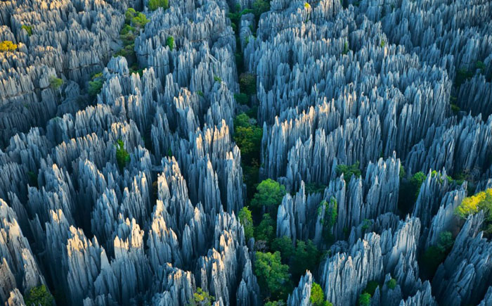 Каменный лес, Мадагаскар