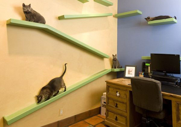Домашний офис для котов