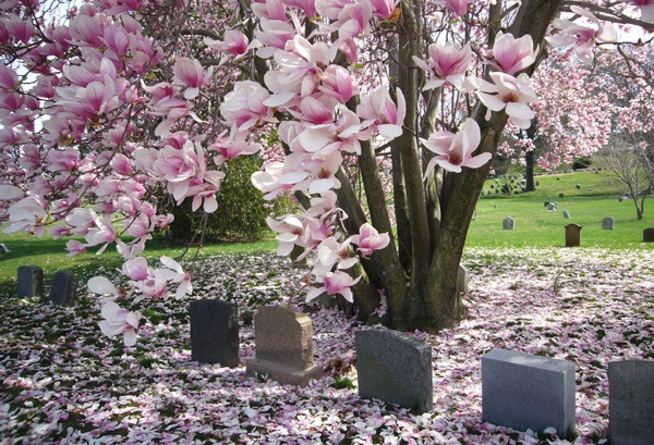Кладбище Green-Wood Cemetery, Бруклин, Нью-Йорк