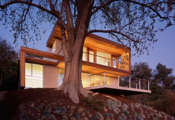 Los Angeles Tree House