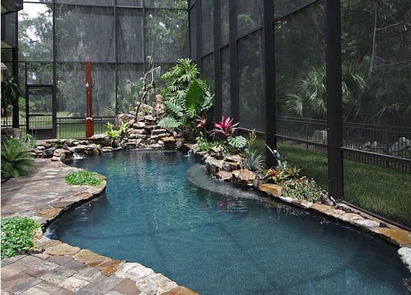 Тропический бассейн от студии BeeTree Homes