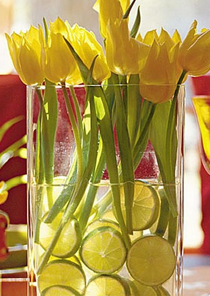 Лимон и тюльпаны