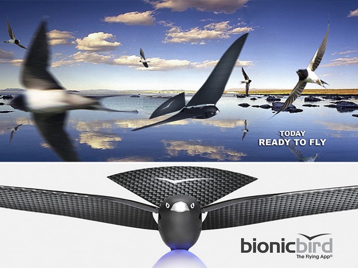 Bionic Bird – искусственная птица под управлением смартфона
