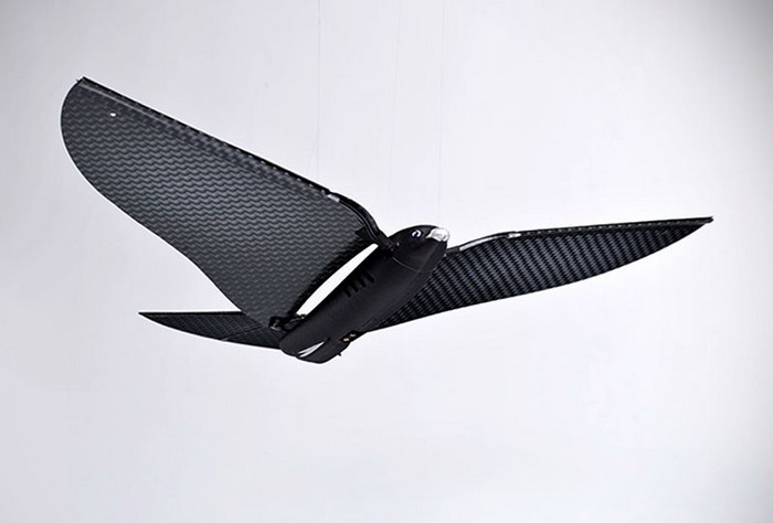 Bionic Bird – искусственная птица под управлением смартфона