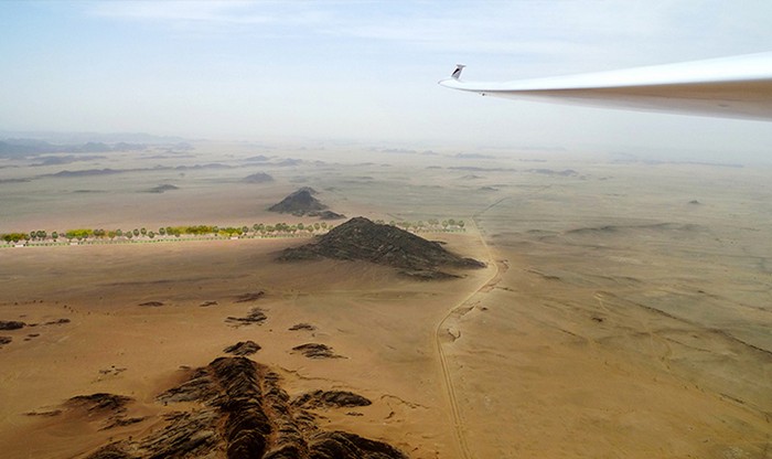 OAXIS – зеленый пояс для Аравийского полуострова