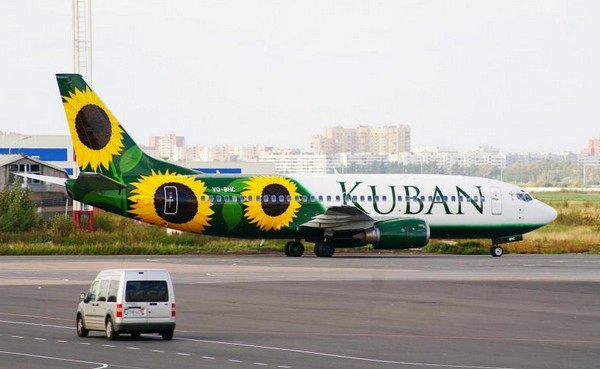 Подсолнухи – символ авиакомпании Кубань