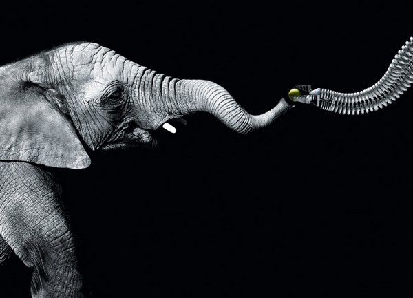 Протез хобота для слона. Источник фото: Festo