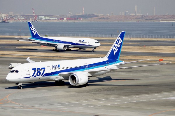 Boeing 787 Dreamliner – лайнер мечты. Источник фото: globalnewspointer.net