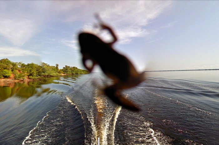 Бассейн реки Амазонка на Google Street View