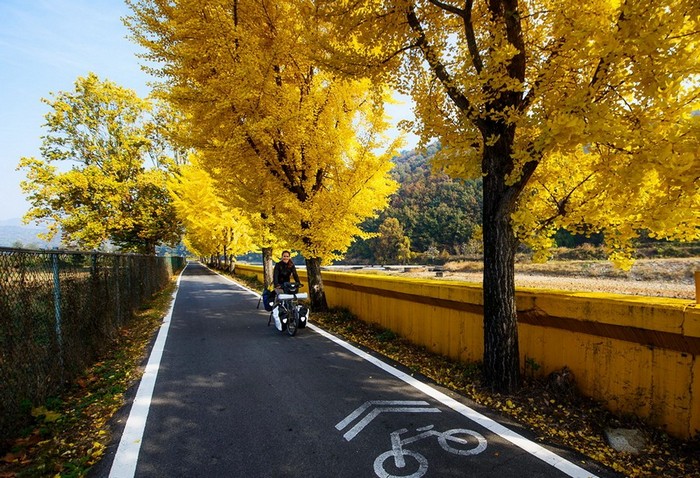 Сеул-Пусан – самая длинная велодорожка в мире