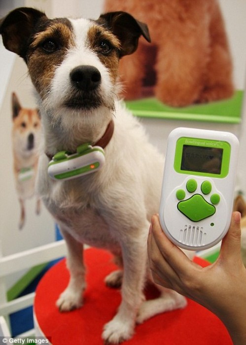 Bow-Lingual Dog Translation – устройство для общения с собаками