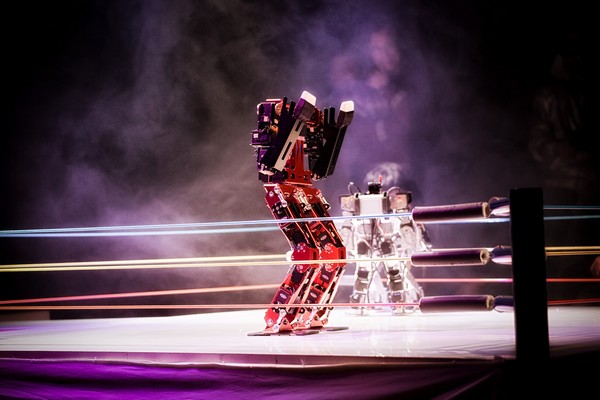 Robot Pro Wrestling – чемпионат по борьбе среди роботов