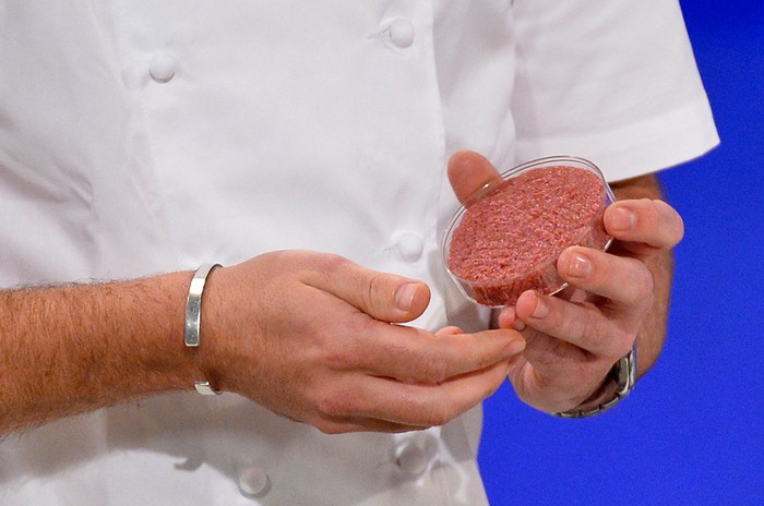 Еда из пробирки: первый в мире бургер из стволовых клеток