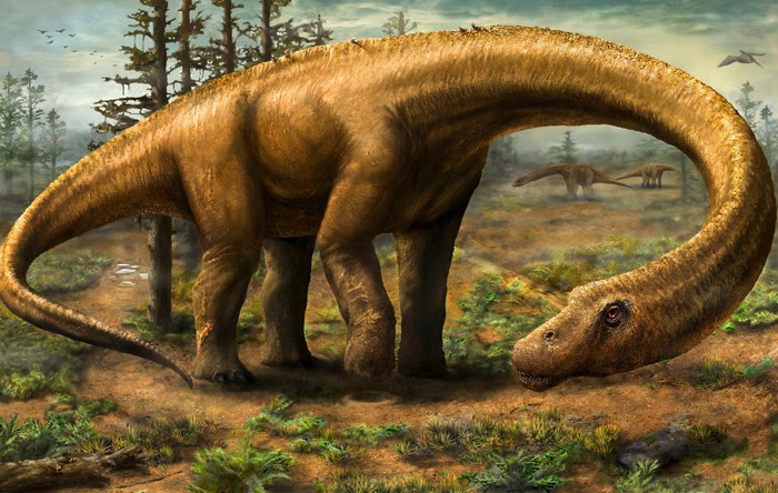 Dreadnoughtus schrani - самый большой в мире динозавр