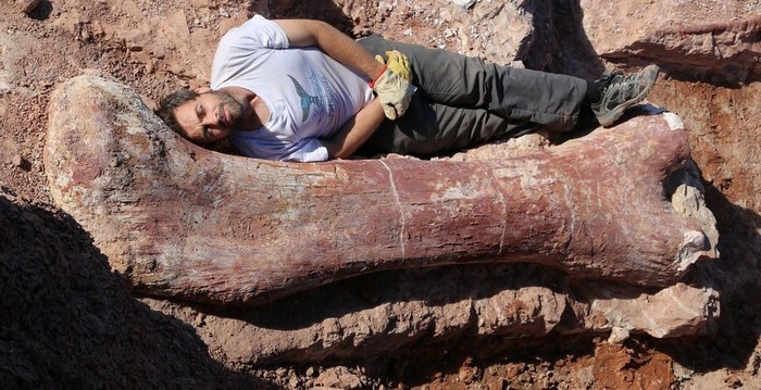 Dreadnoughtus schrani - самый большой в мире динозавр