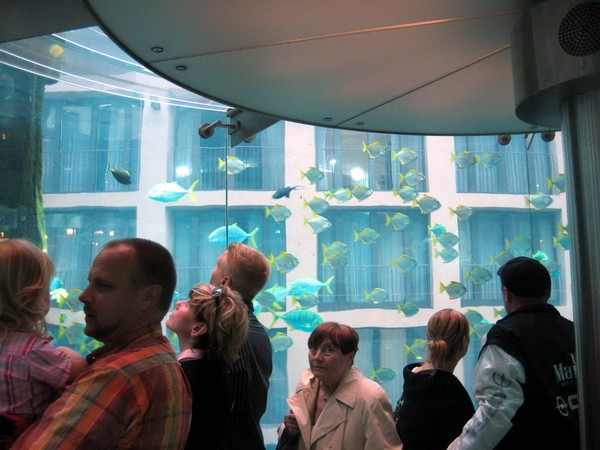 AquaDom – лифт внутри аквариума. Источник фото: zoochat.com