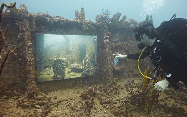 Подводная фотогалерея у берегов Флориды. Источник фото: The Sinking World