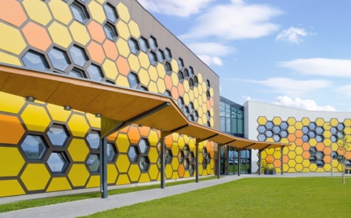 Пчелиное общежитие в Эстонии