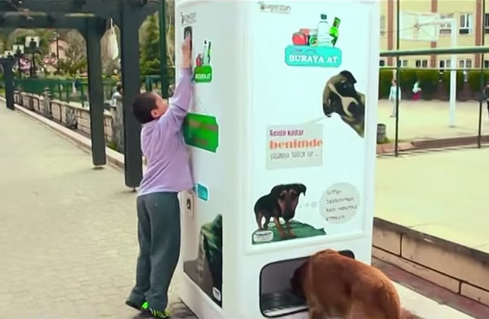 Торговый автомат для бездомных собак
