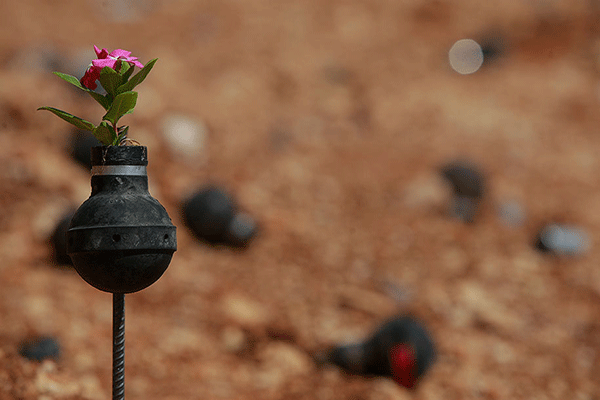 Цветы в гранатах, собранных в местах военных столкновений.