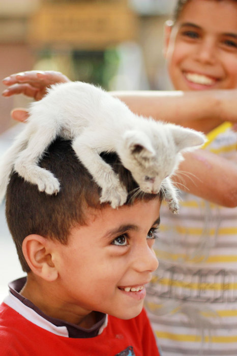 Веселое фото малыша с котенком на голове.