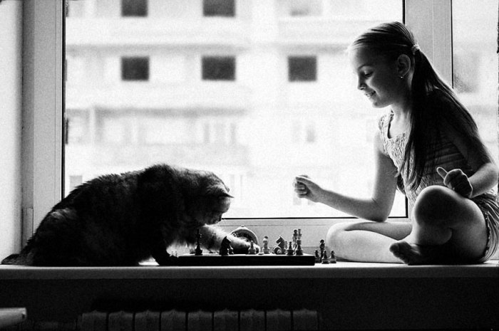 Напряженная игра в шахматы девочки и ее четвероногого друга.