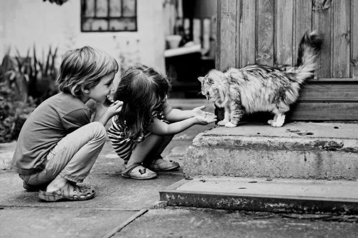 Малыши играют с котиком во дворе.