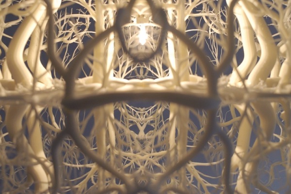Необычный абажур дизайнерской лампы от Darwinist Ernst Haeckel.