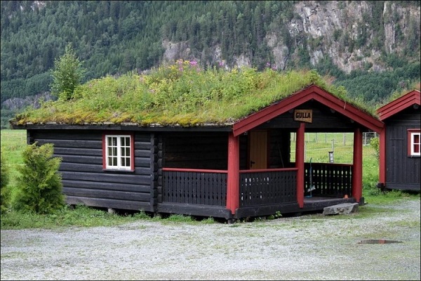 Дом с зеленой крышей.