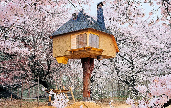 Treehouse Tetsu - домик на дереве для проведения чайных церемоний.