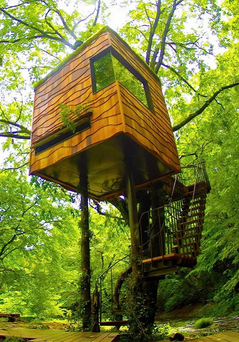 Nasu Treehouse - домик на дереве.