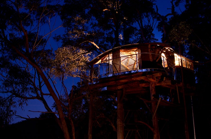 Wollemi Wilderness’s Tree House - хижина на дереве в тропическом лесу.