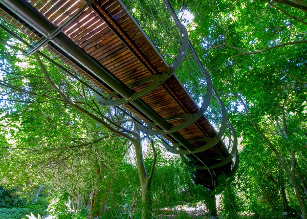Мост Boomslang walkway в Национальном ботаническом саду ЮАР.