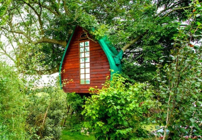 Tree Sparrow House - домик на дереве.