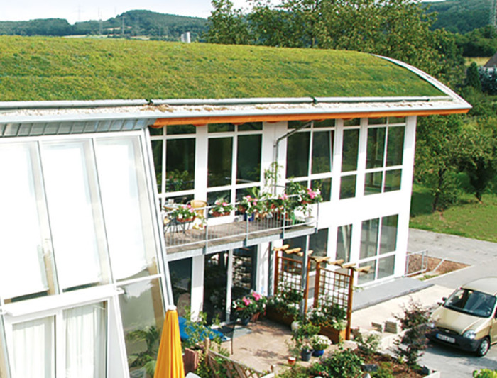 Эко-дом с зеленой крышей.
